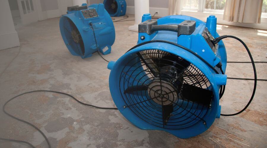 Why choose water damage cleanup for ceiling water damage repair in Pasadena